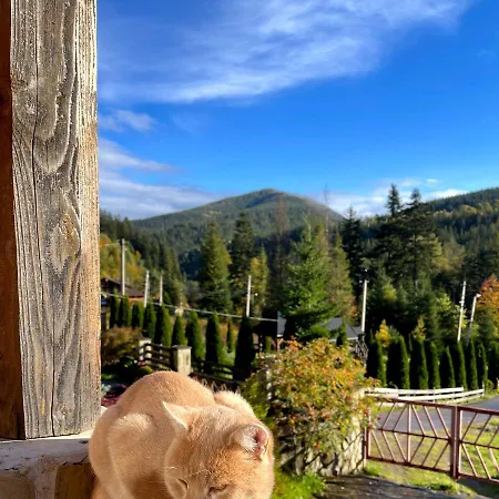 на полумистому Semesterbostad Mykulytjyn