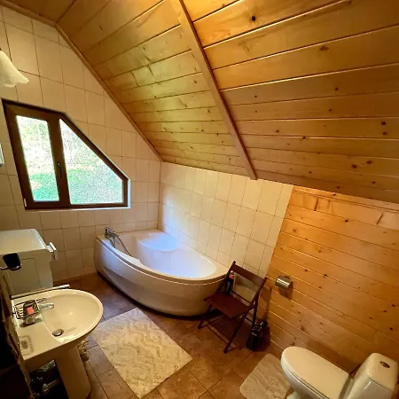 Holiday home на полумистому Mykulychyn