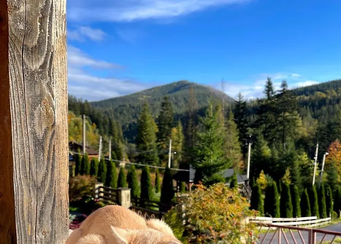 на полумистому Сasa de vacaciones Mykulychyn